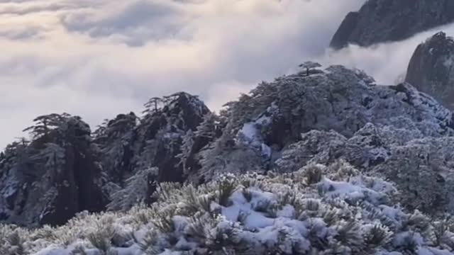 Appreciation of the Sunrise Scenery in the Sea of Clouds of the Grand Yellow Mountain