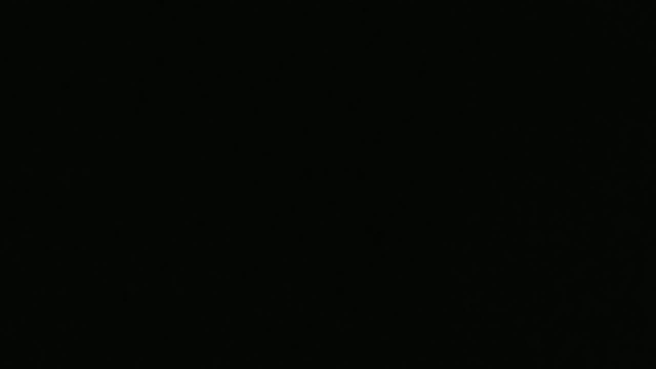 Flyers Goal Horn 1996-1998