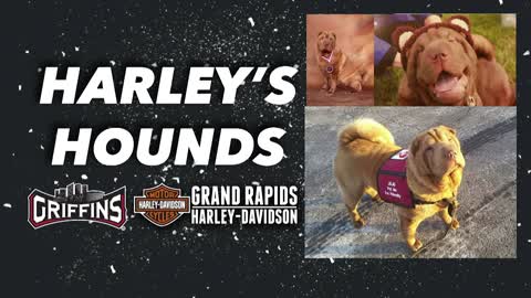 JuJu's Harley Hound night