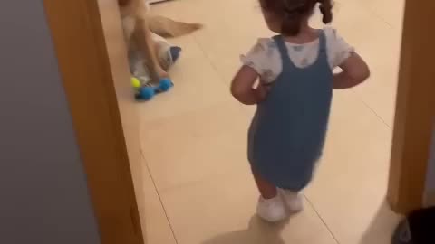 Dog Gets Scolded For His Crimes || 🐶😡😂