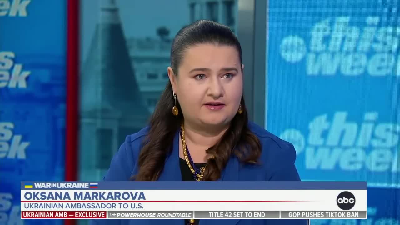 Ukraine welcomes 'accountability' from Congress over US aid: Ukrainian Amb.