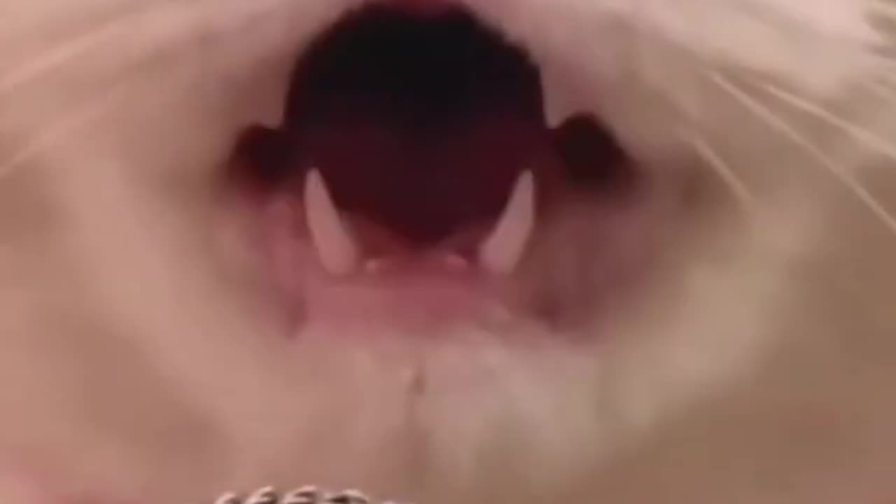 This mama is very good singer 🤣