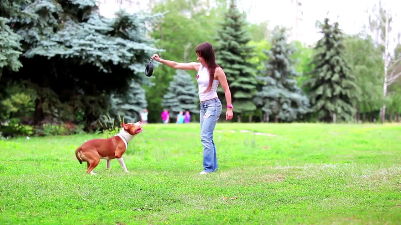 Brain Training for Dogs - Unique Dog Training Course! Easy Sell!