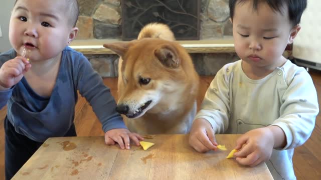 A Serious Korean Snack Mukbang