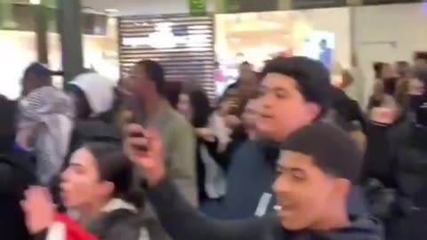 P•lestine supporters disrupted McDonald’s in Paris