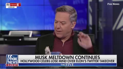 Elon Musk comments on Donald Trump returning to Twitter