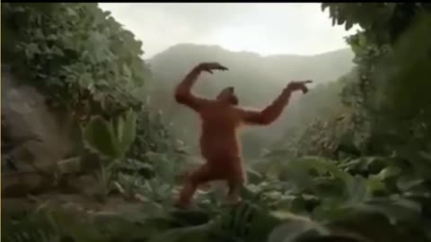 Monkey Dance