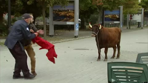 Best Of July 2023 | Just For Laughs Gags