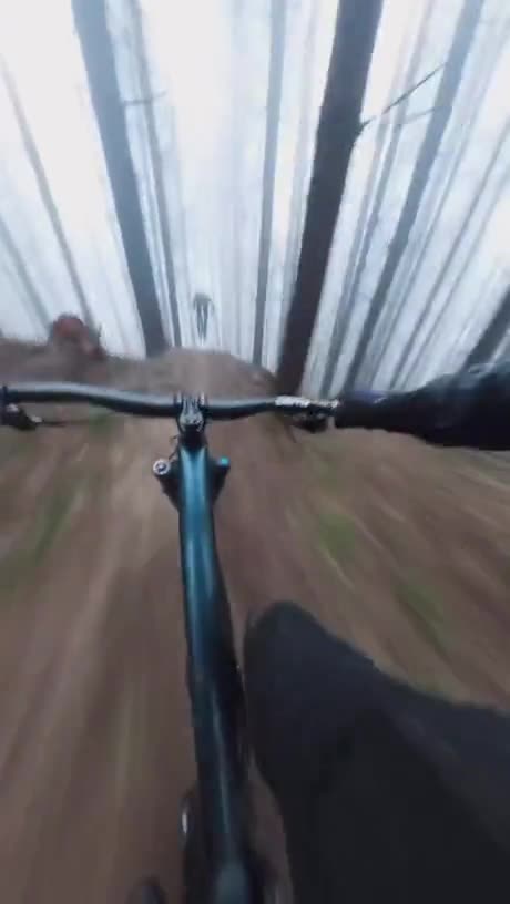 Riding a Bike Dizzy Fast!! #skillsshowcase#bikeriding #bikerider