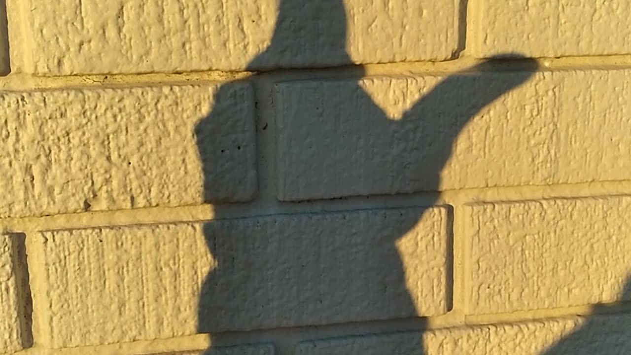 HAND SHADOWS