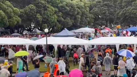 Exhuberent scenes at NZ Parliament