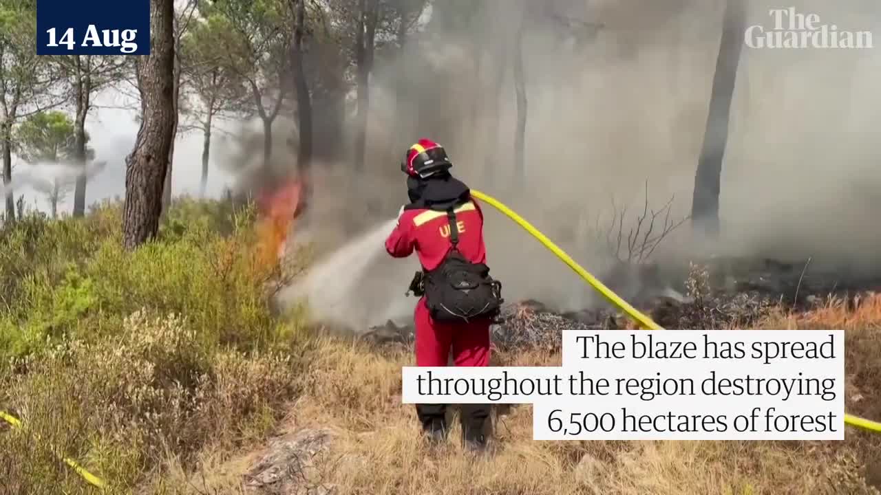 Wildfires tear through forests in Spain's south-eastern Valencia region