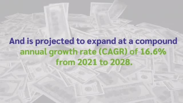 Get Paid $300 To Lose Weight Make Money Online 2022
