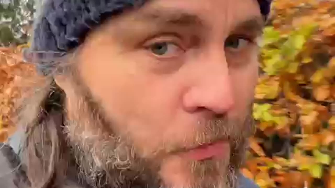Kommentarer