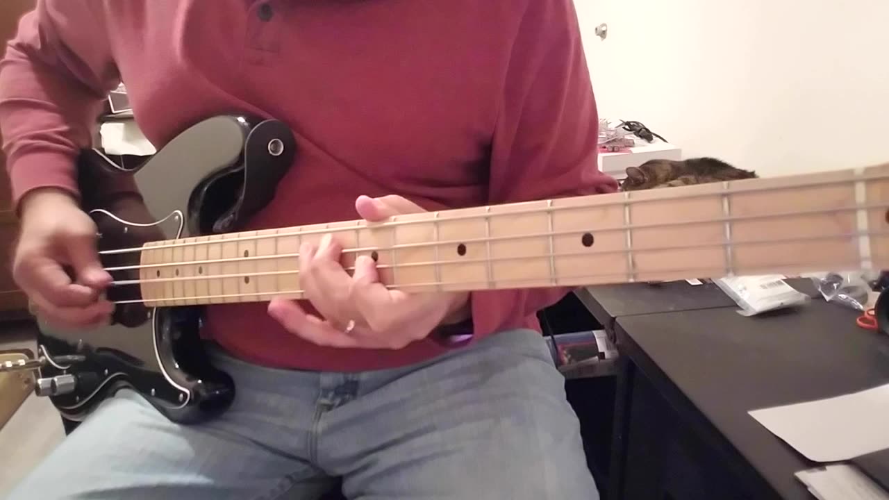 Devo - That's Pep Bass Cover