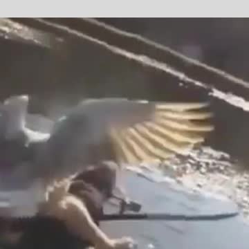 come on from here this is my lake and fish