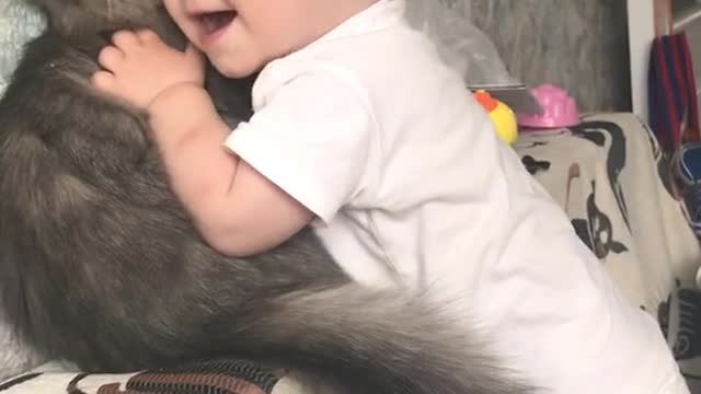 Cute kitten and super affectionate baby
