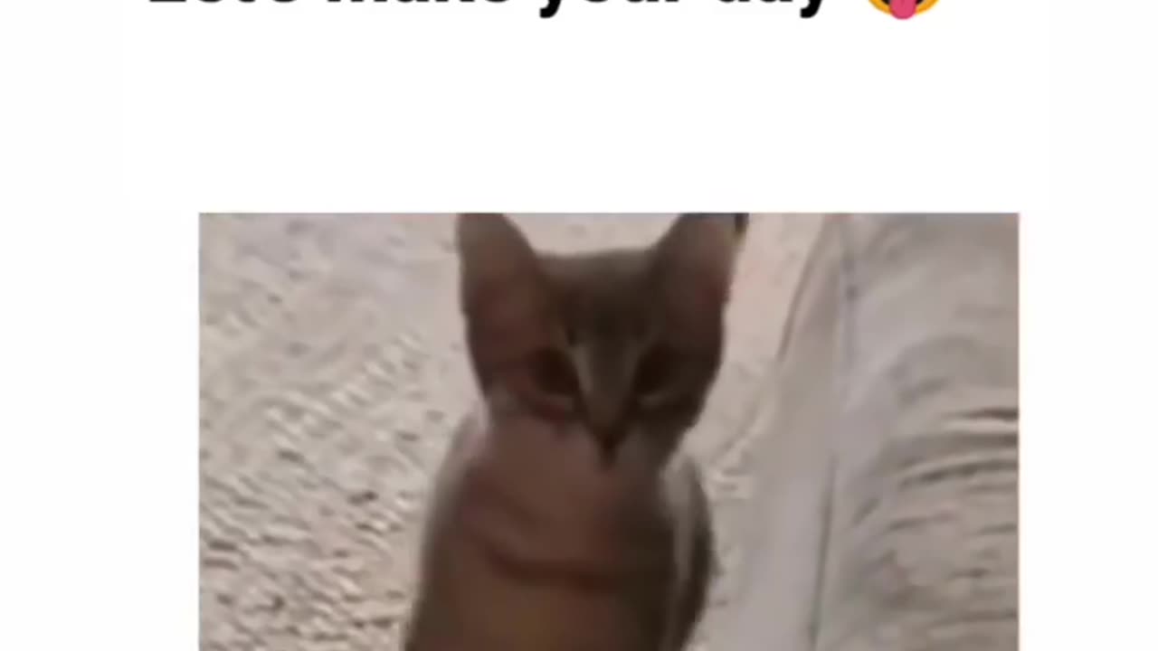 Let's make your day