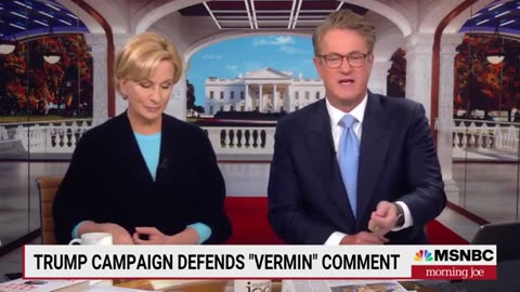 ‘How ridiculous’: Joe reacts to Trump campaign’s defense of ‘vermin’ comment