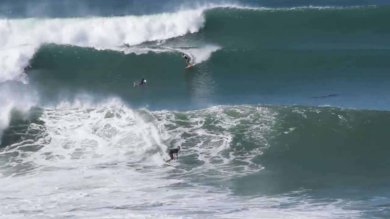 Cotton's Point Surf - Big Wednesday