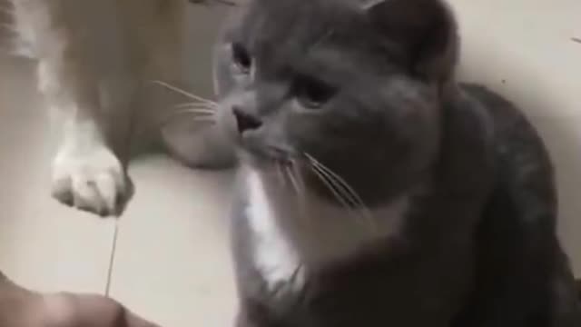 Hey! I can do that too...