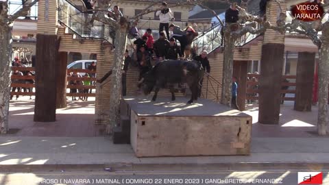 CAPARROSO (MATINAL) DOMINGO 22 ENERO 2023 ( BRETOS FERNANDEZ