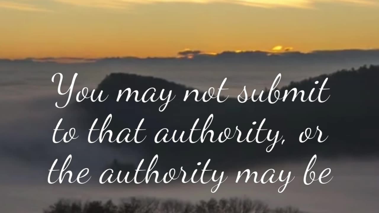 Weekly wisdom - Appeal to authority