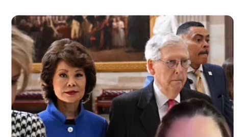 Mitch McConnell's Sister-in-Law Drowned When Her Tesla Backed Into A Pond