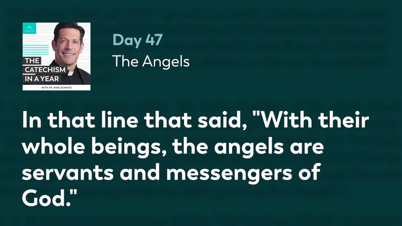 Day 47: The Angels — The Catechism in a Year (with Fr. Mike Schmitz)