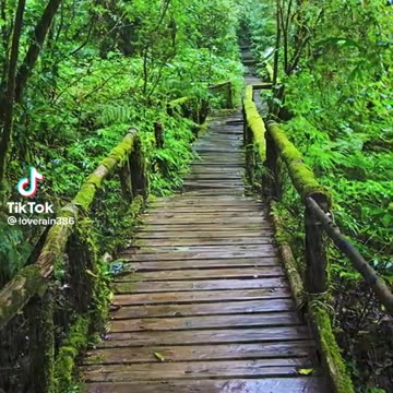 Gr liton Natural Clips, Natural Video Clips # - 88