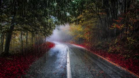 Soothing Rain Sounds with Calming Music | Universe's Tranquility