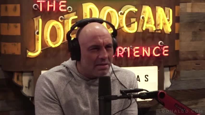 (IL Donaldo Trumpo) MI JOE ROGAN GOING AFTER CNN IS ABSOLUTELY DELICIOUSO!!!😂😂😂