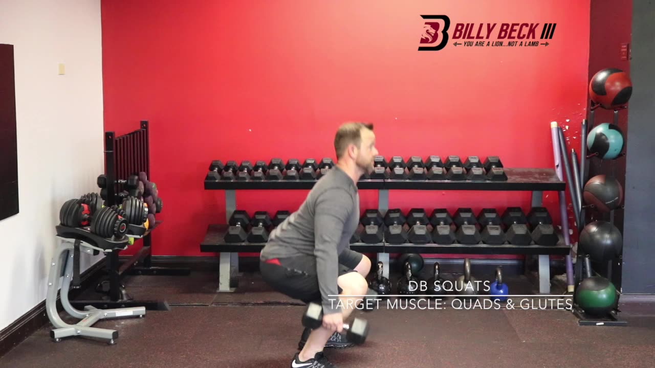 DB Squats