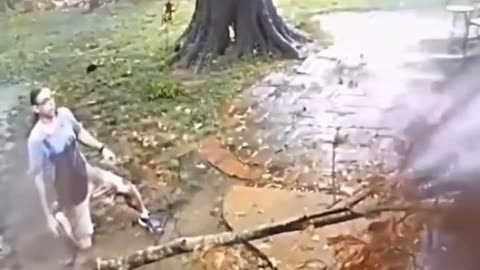 Never mind the rain, watch out for the tree!