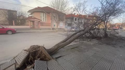 Pema ne Korçë