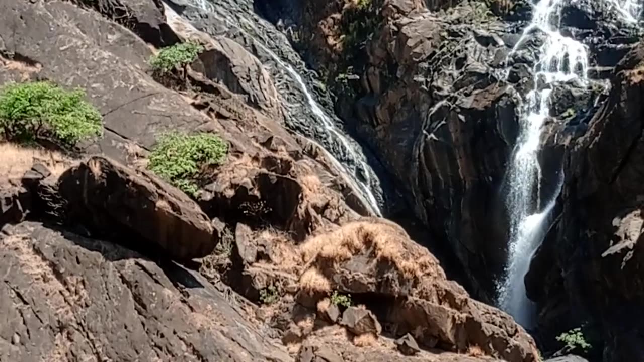 DUDH SAGAR,GOA❣️