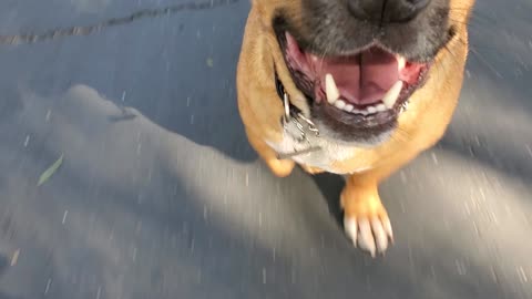 Jack close up