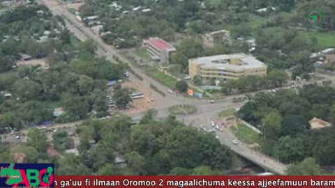 Oduu Waaree ONM-ABO Adoolessa 8, 2023