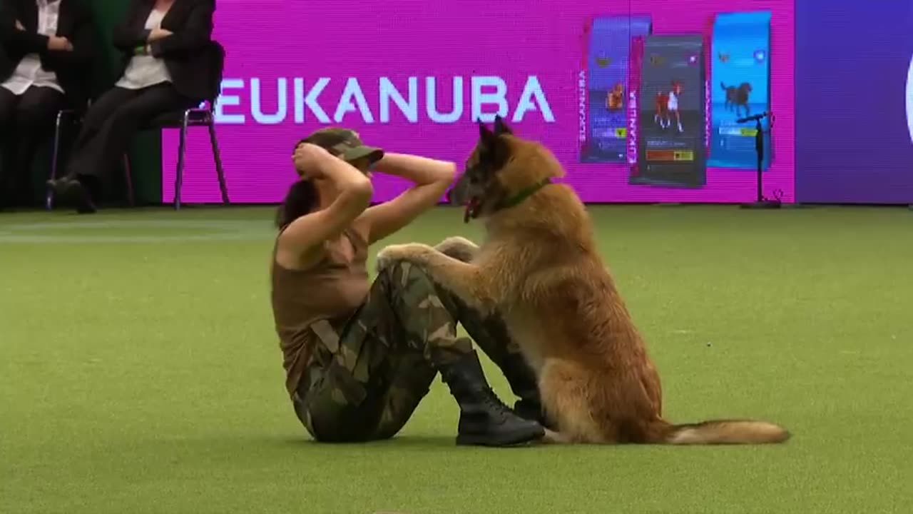 Amazing Dog Performance....