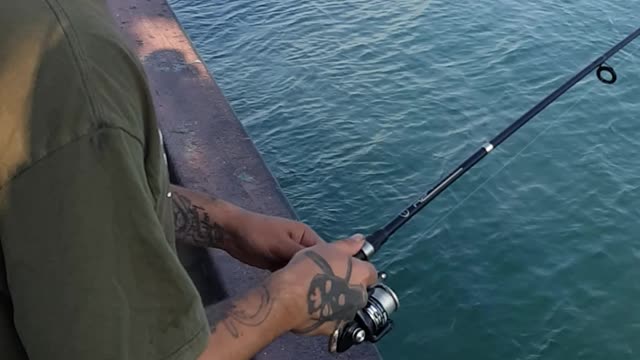 Carp got away