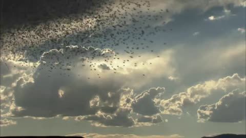 Armageddon