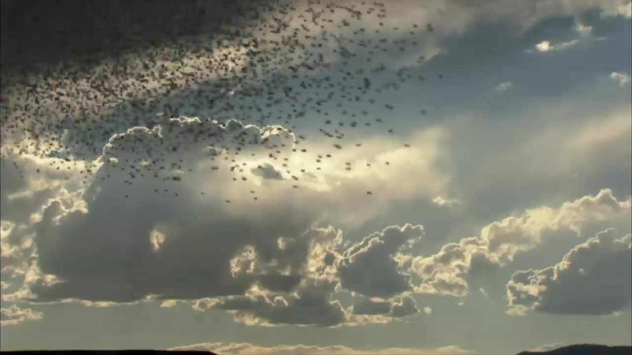 Armageddon