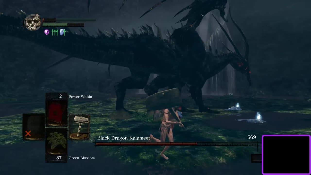 Dark Souls SL1 NG7 Black Dragon Kalameet