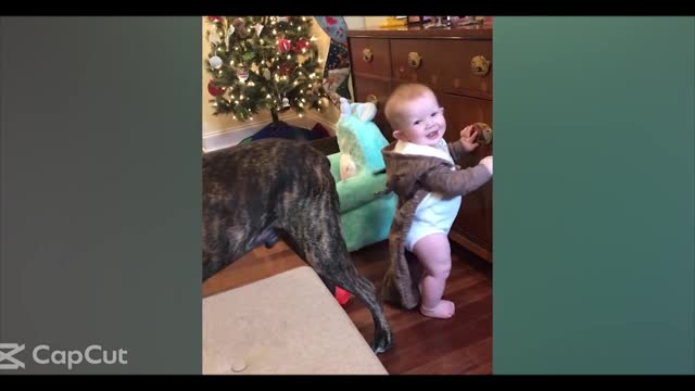 Cute Baby is Playing with His/Her Pets