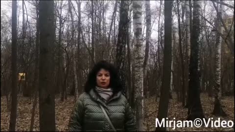 From Rumble to Odysee