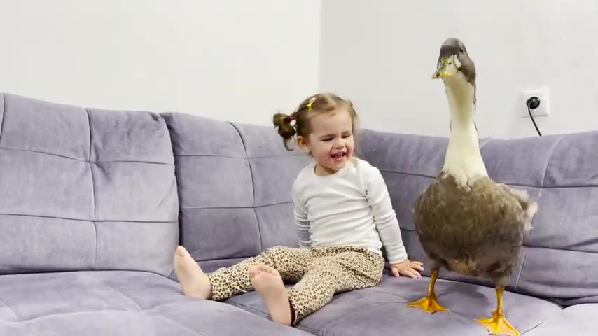 Cute Baby Meets Gaint Duck for the First Time [ TRY NOT TO LAUGH ]