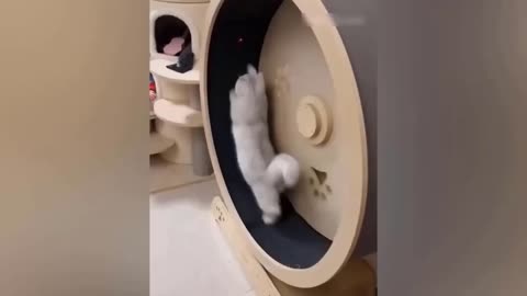 Funny Animal Videos 2023 🥰 - Funniest Dogs and Cats Videos