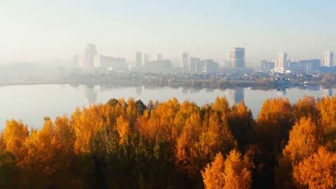 Enchanting Autumn Forests with Beautiful Piano Music