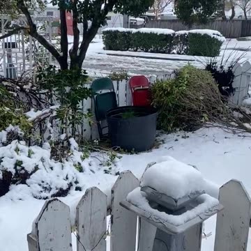 Unusual Weather in Lakeport, California..