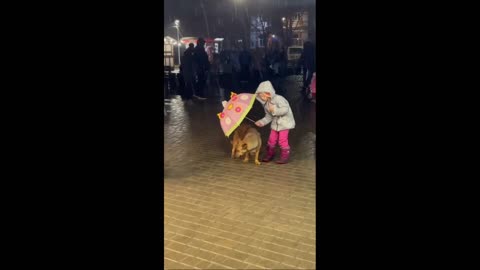 Five Year Old Girl Protects Dog From Rain With Umbrella